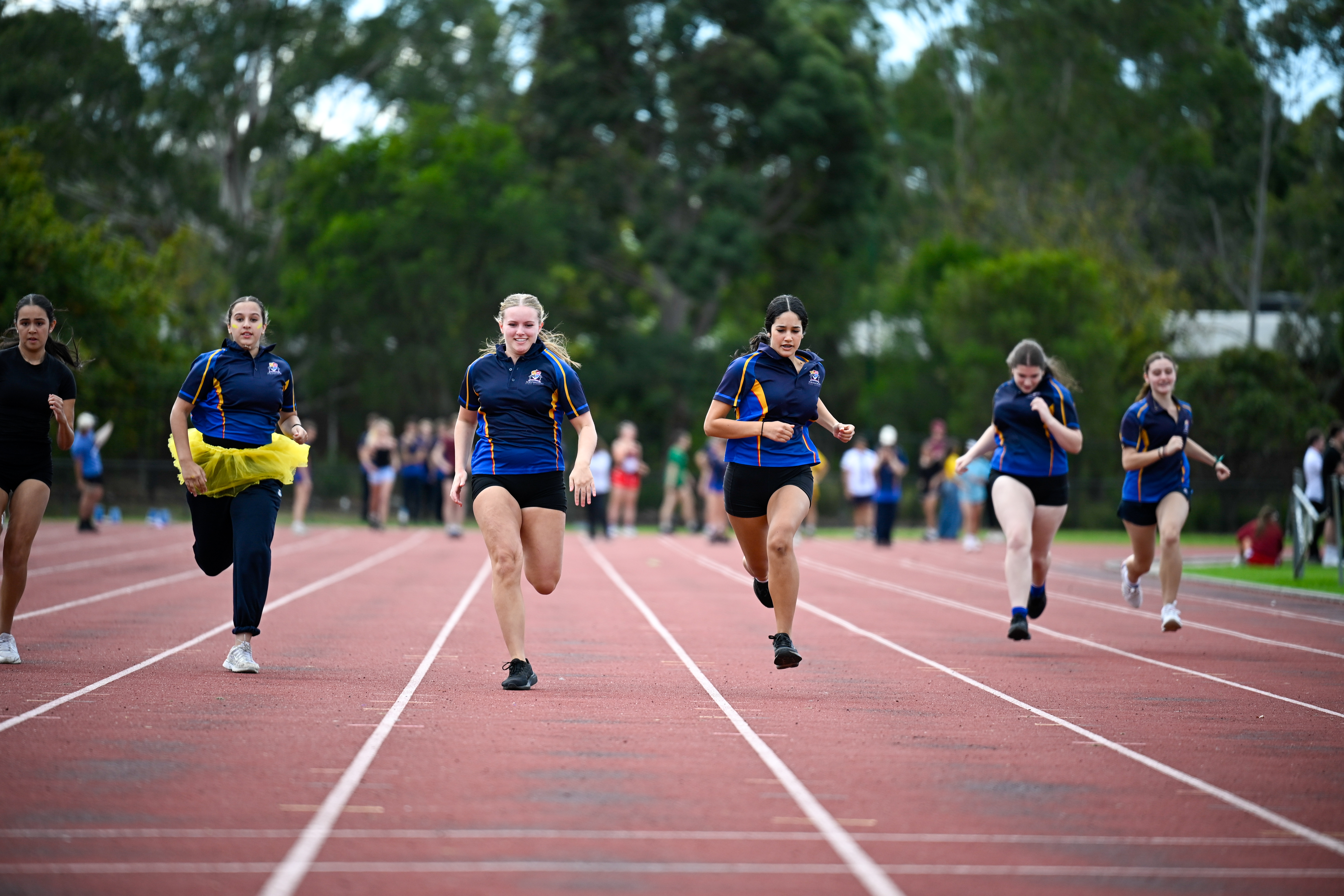 /uploaded_files/media/gallery/17732874021 (144).jpg